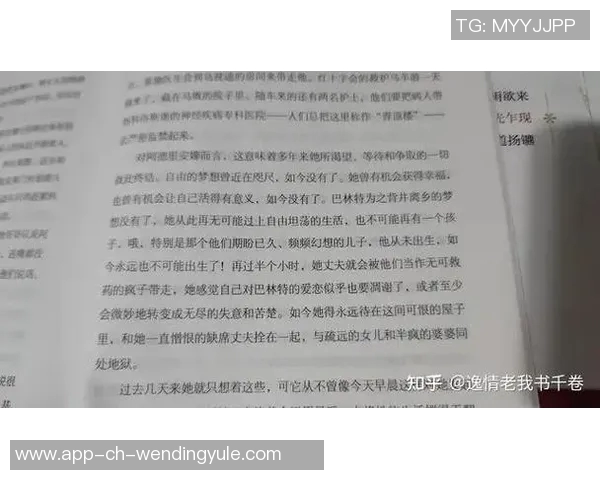 问鼎娱乐圈的小说-问鼎娱乐圈，明星之路的无尽曙光-问鼎娱乐圈的小说